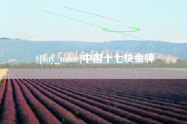 长春中国十七块金牌