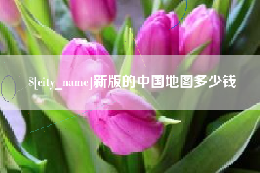 长春新版的中国地图多少钱