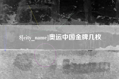 长春奥运中国金牌几枚