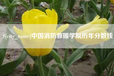 长春中国消防救援学院历年分数线