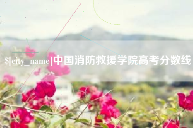 长春中国消防救援学院高考分数线