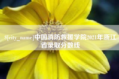 长春中国消防救援学院2021年浙江省录取分数线