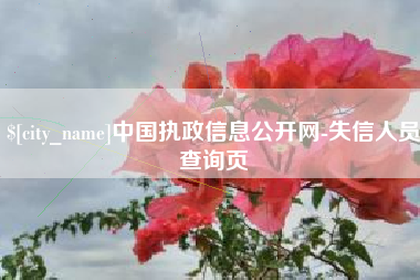 长春中国执政信息公开网-失信人员查询页