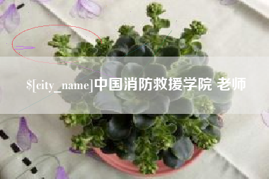 长春中国消防救援学院 老师