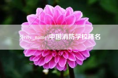 长春中国消防学校排名