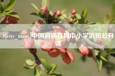 长春中国消防官网中小学消防公开课