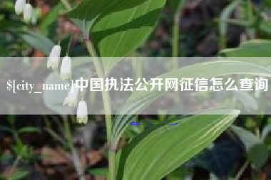 长春中国执法公开网征信怎么查询