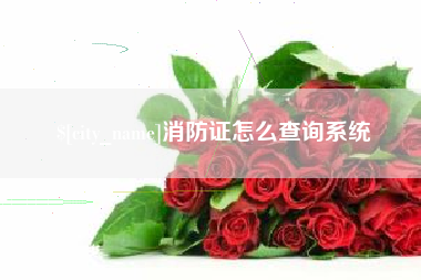 长春消防证怎么查询系统