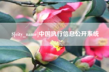 长春中国执行信息公开系统