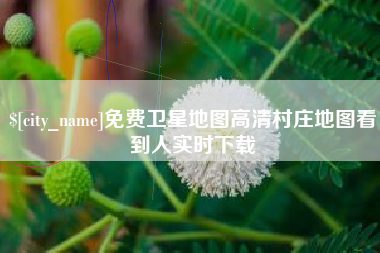 长春免费卫星地图高清村庄地图看到人实时下载