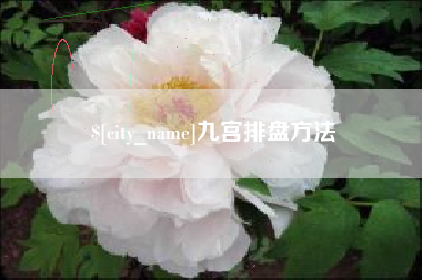 长春九宫排盘方法