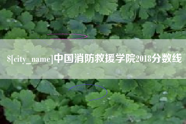 长春中国消防救援学院2018分数线