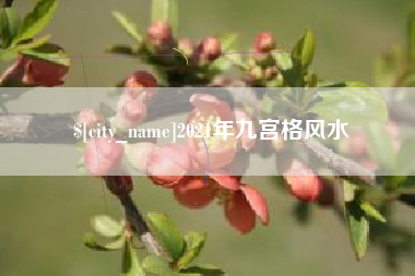 长春2021年九宫格风水