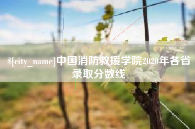 长春中国消防救援学院2020年各省录取分数线