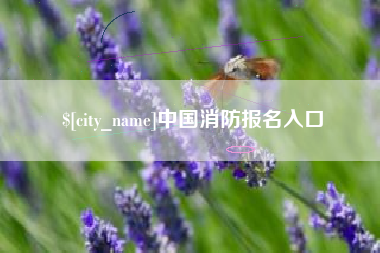 长春中国消防报名入口
