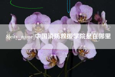 长春中国消防救援学院是在哪里