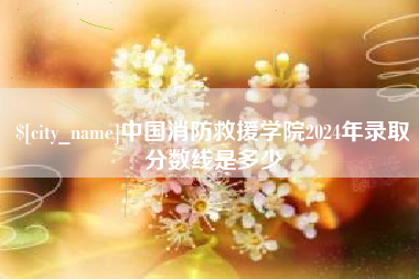 长春中国消防救援学院2024年录取分数线是多少