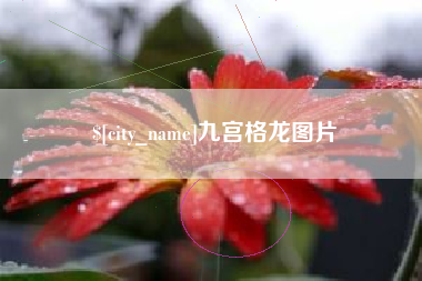 长春九宫格龙图片