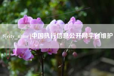 长春中国执行信息公开网平台维护