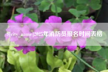 长春2025年消防员报名时间表格