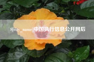 长春中国执行信息公开网后