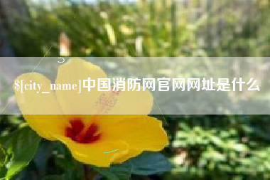 长春中国消防网官网网址是什么