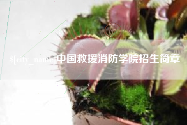 长春中国救援消防学院招生简章