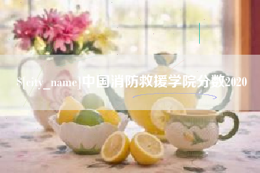 长春中国消防救援学院分数2020