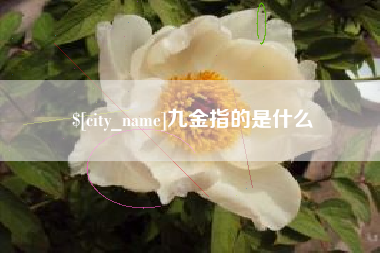 长春九金指的是什么