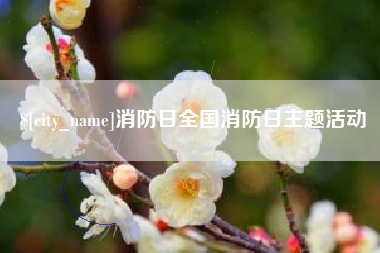 长春消防日全国消防日主题活动