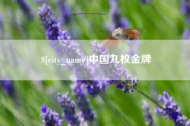 长春中国九枚金牌