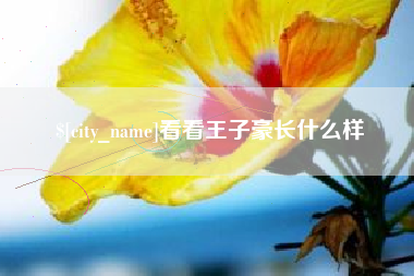 长春看看王子豪长什么样