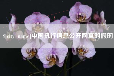长春中国执行信息公开网真的假的