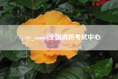 长春全国消防考试中心