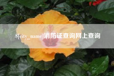 长春消防证查询网上查询