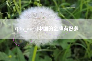 长春中国的金牌有好多