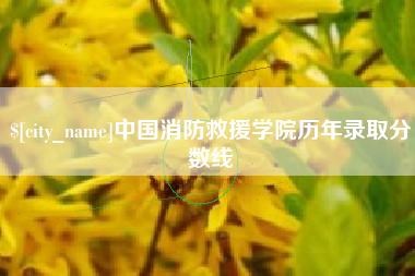 长春中国消防救援学院历年录取分数线
