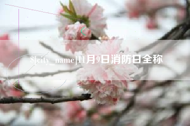长春11月9日消防日全称