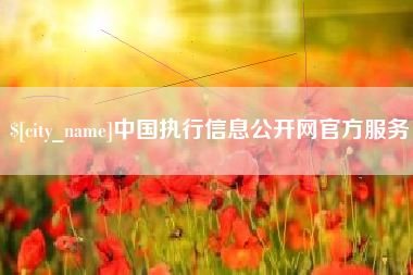 长春中国执行信息公开网官方服务