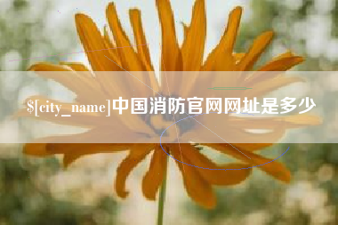 长春中国消防官网网址是多少