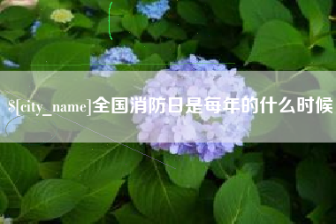 长春全国消防日是每年的什么时候