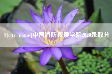 长春中国消防救援学院2020录取分