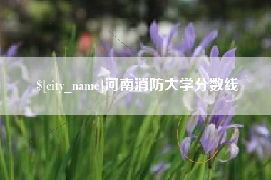长春河南消防大学分数线