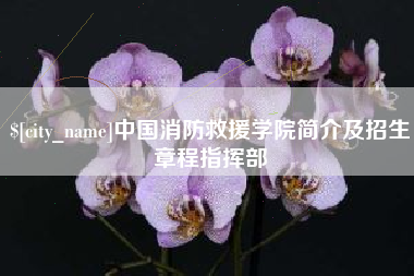 长春中国消防救援学院简介及招生章程指挥部