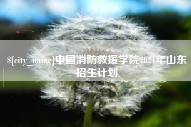 长春中国消防救援学院2021年山东招生计划