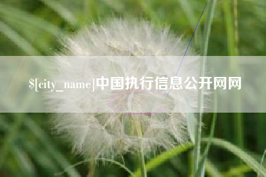 长春中国执行信息公开网网