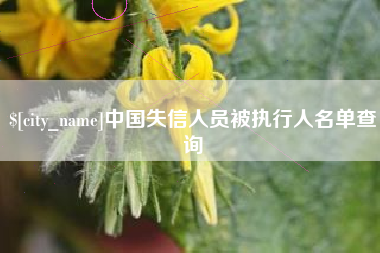 长春中国失信人员被执行人名单查询