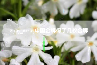 长春中国金牌得了几枚金牌