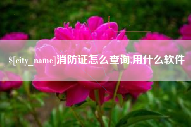 长春消防证怎么查询,用什么软件