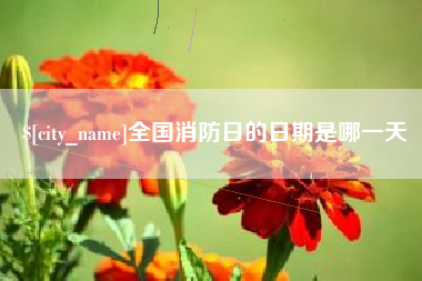 长春全国消防日的日期是哪一天
